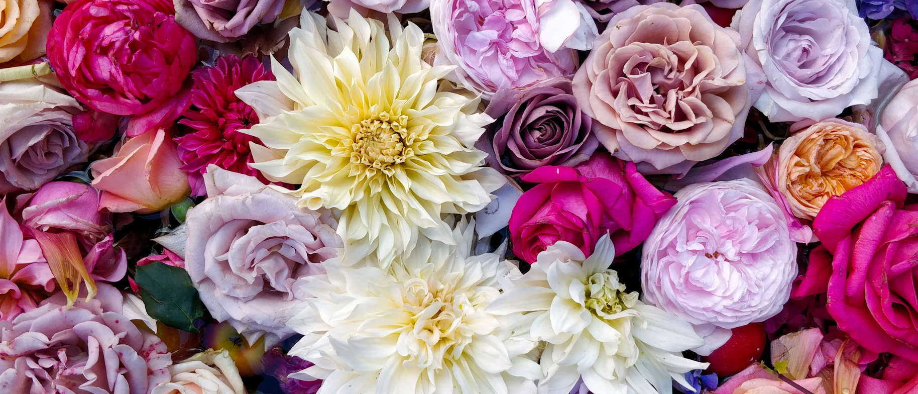 jak skladovat etericke oleje